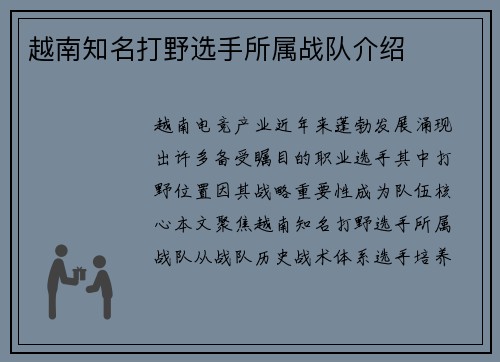 越南知名打野选手所属战队介绍
