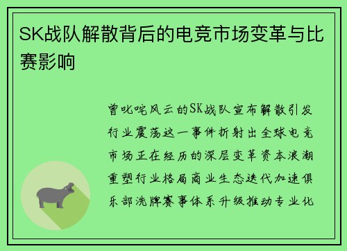SK战队解散背后的电竞市场变革与比赛影响