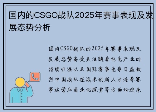国内的CSGO战队2025年赛事表现及发展态势分析